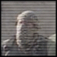 Avatar użytkownika